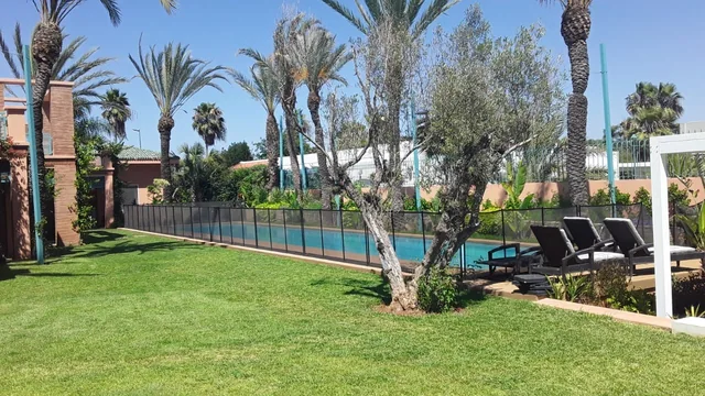 Pelouse autour d’un olivier, avec des palmiers et une piscine à l’arrière-plan
