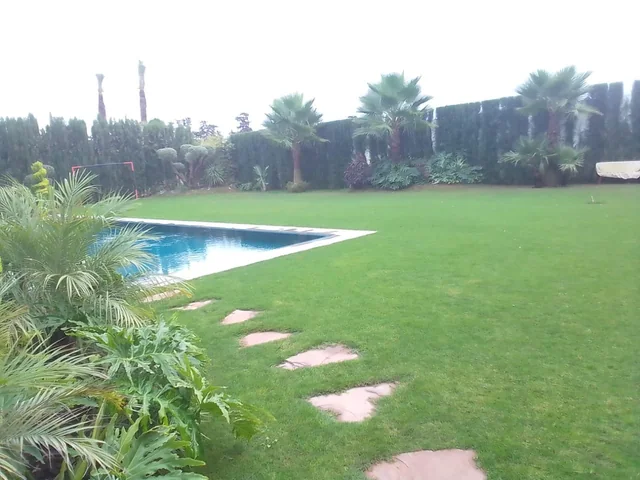 Grande pelouse avec une piscine, des pas japonais et une bordure de palmiers