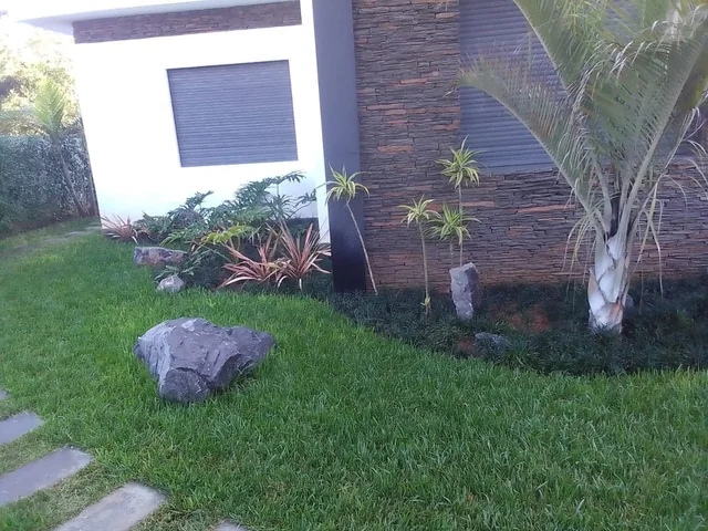 Massif de plantes et de roches au pied d’une façade contemporaine