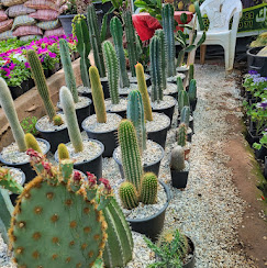 Jardin paysager — Ars Naturae Marrakech